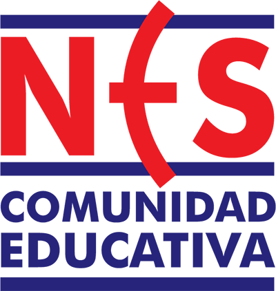 Logo NES